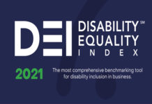 disability inclusion champions revealed