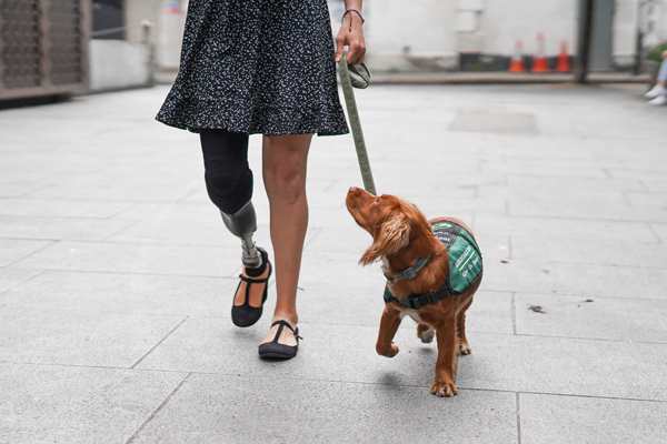 Employers must make reasonable adjustments to support employees who need guide dogs, assistance animals and emotional support animals.